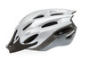 Raleigh - Mission Evo Helmet