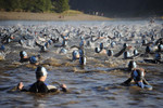 A beginner’s guide to open-water swimming