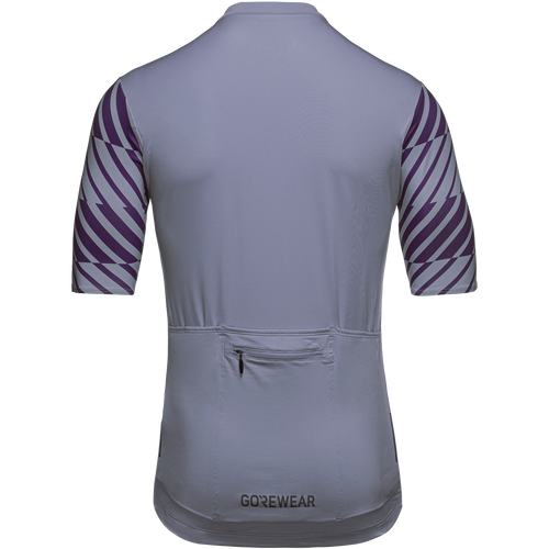 Gorewear - SWIFTRIDE Optical Jersey - Men's - Amethyst Grey / Purple Indigo - 2026