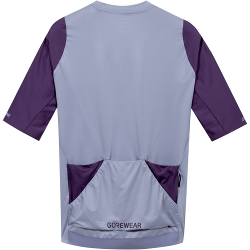 Gorewear - Distance Jersey 2.0 - Men's - Amethyst Grey / Purple Indigo - 2026