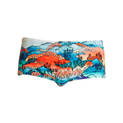 Funky Trunks - Men's Trunks - Misty Mountain