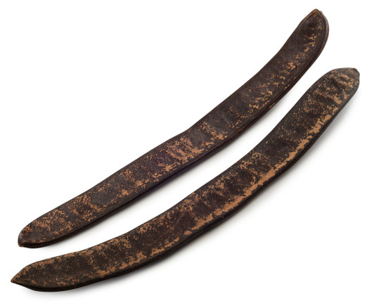 Seed Pod Shaker from the African Flame Tree Seed Pod Shaker from the African Flame Tree