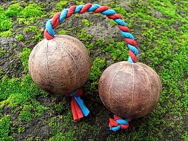 Neus - 12th Oct 2020