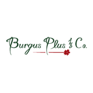 Burgus Plus