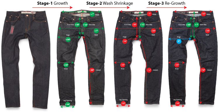 4 jeans photos show the life cycle of raw jeans shrinkage and stretching reviewing the changes in measurements.