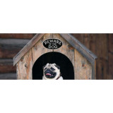 PRISTINE Beware of the Dog Sign - Cast Iron Beware of Dog Sign (7 Inch x 3.5 Inch), Black, White