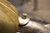 Monstercraftsman 5/16 Standard Tank Bung Kit