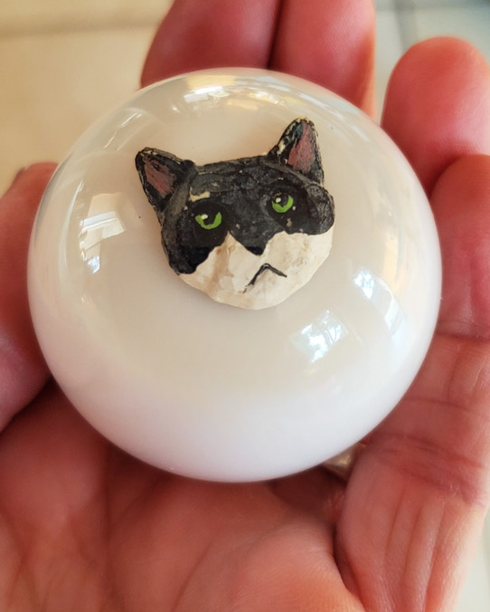 Cool Black & White Cat Kitty Shift Knob