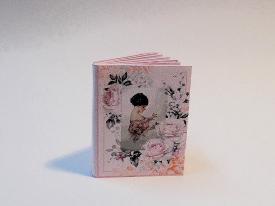Miss Bianca Journal