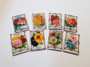 Kit - Seed Display Box & 8 seed packs No2