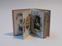 Download - Pink Victorian style Photograph Album