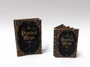 Download - Practical Magic Witches Spell Book
