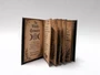 The Witch's Grimoire