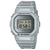 Casio G-Shock Digital Metallic Silver DW5600FF-8