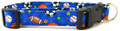 SPORTS DOG COLLAR