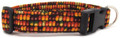 INDIAN CORN DOG COLLAR