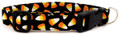 CANDY CORN DOG COLLAR