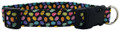 TINY METALLIC EASTER EGGS DOG COLLAR