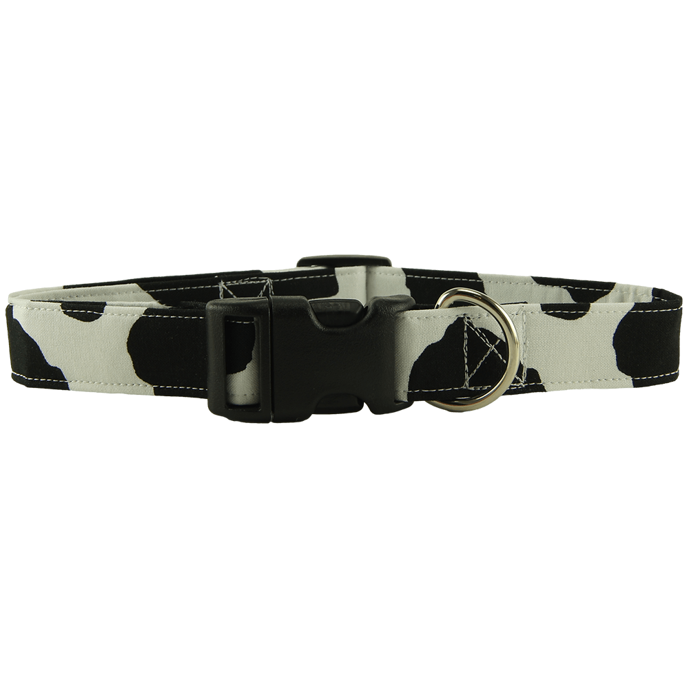Cow print dog collar, Front