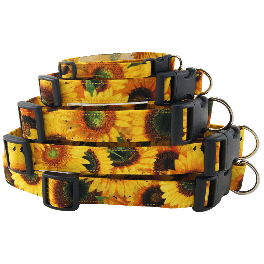 Sunny Sunflowers Dog Collars - stacked