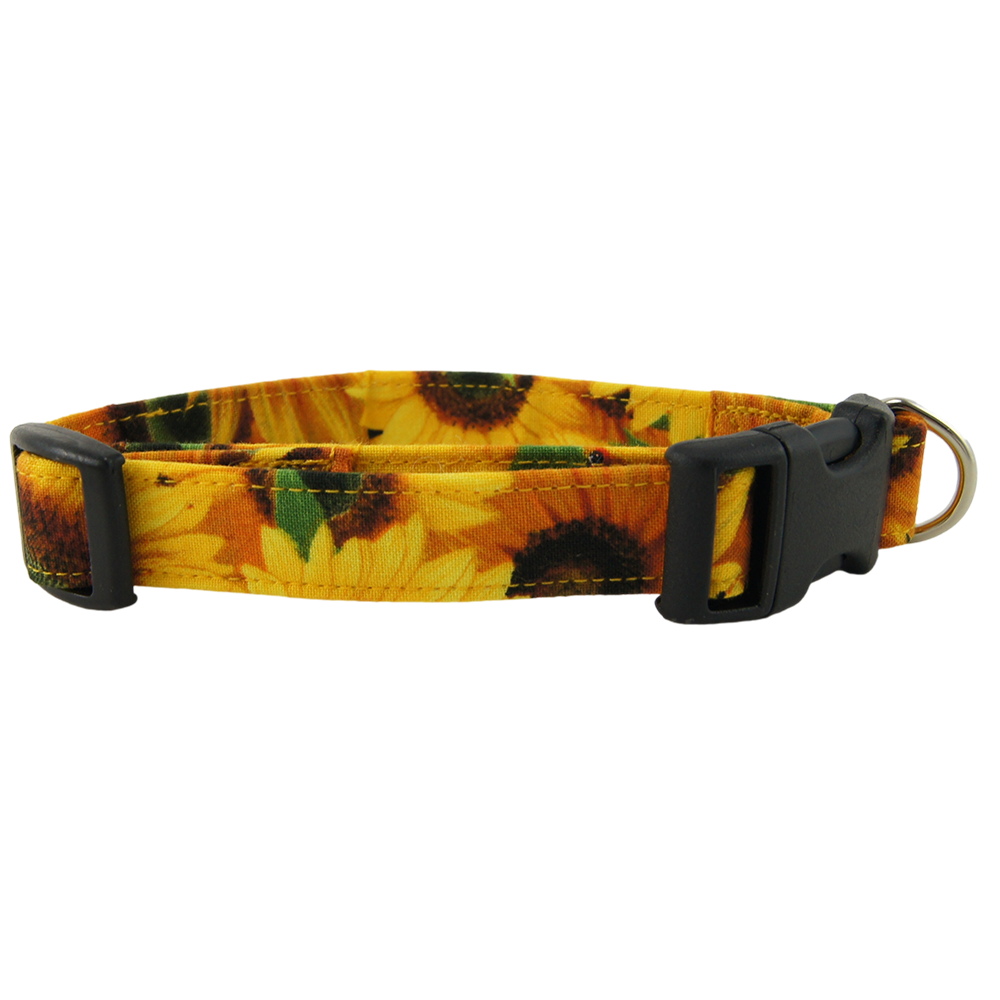 Sunny Sunflowers Dog Collars - Medium