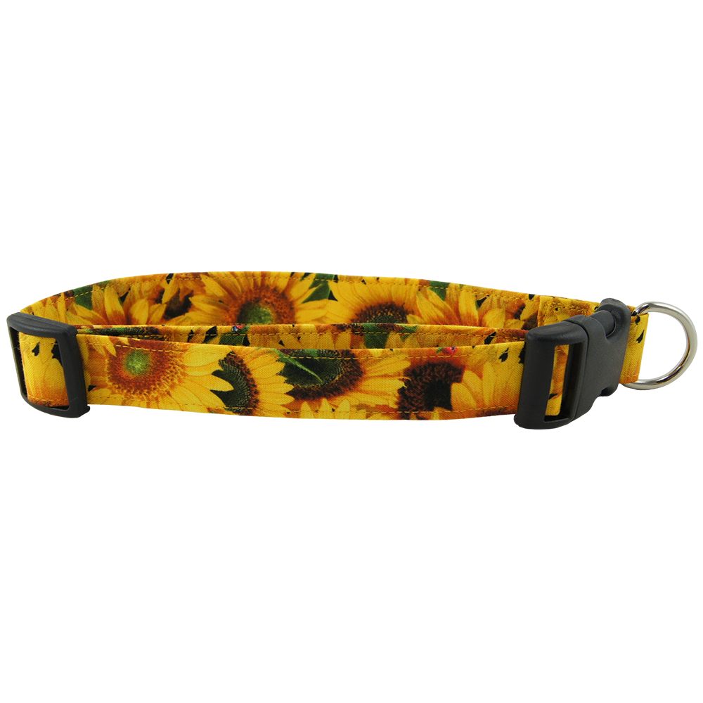 Sunny Sunflowers Dog Collars - Large