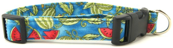 WATERMELON PATCH DOG COLLAR