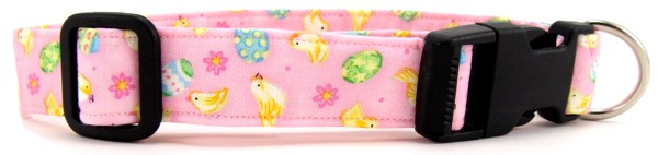 TOSSED CHICKS & EGGS DOG COLLAR