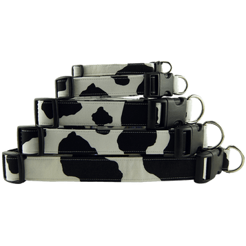 Cow print dog collar, Stacked