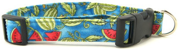 WATERMELON PATCH DOG COLLAR