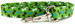 GREEN & BROWN BONES DOG LEASH