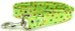 GREEN RAINBOW PAWS DOG LEASH