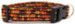INDIAN CORN DOG COLLAR