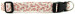 Candy Canes Dog Collar