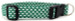 Mini Green Trees Dog Collar