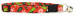 Wacky Christmas Trees Cat Collar
