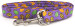 Tossed Easter Eggs Dog Leash