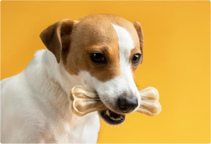 Placeholder and needs to be replaced with SEO-friendly content and relevant