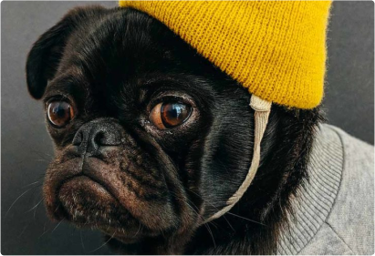 SEO-friendly content and relevant keywords. 