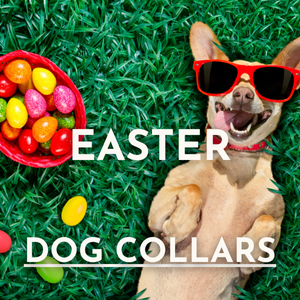 Easter Dog Collars