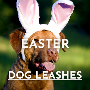 Easter Dog Leashes