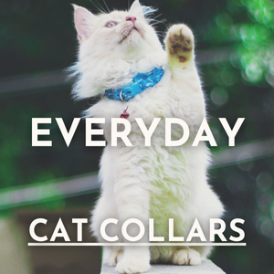 Everyday Cat Collars