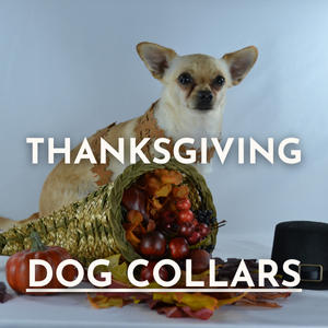 Thanksgiving Dog Collars