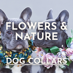 Flowers & Nature Dog Collars