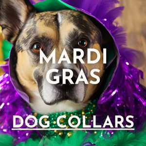 Mardi Gras Dog Collars
