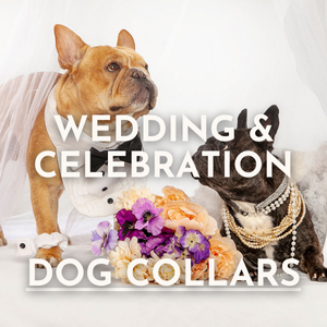 Wedding & Celebration Dog Collars