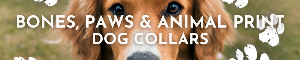 Paws Bones and Animal Print Dog Collars