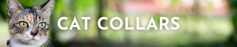 Cat Collars Category
