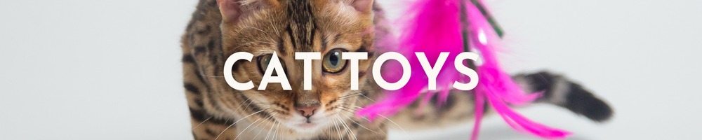 Catnip Toys