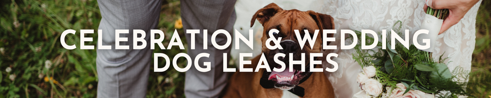 Wedding and Celebration Dog Leashes